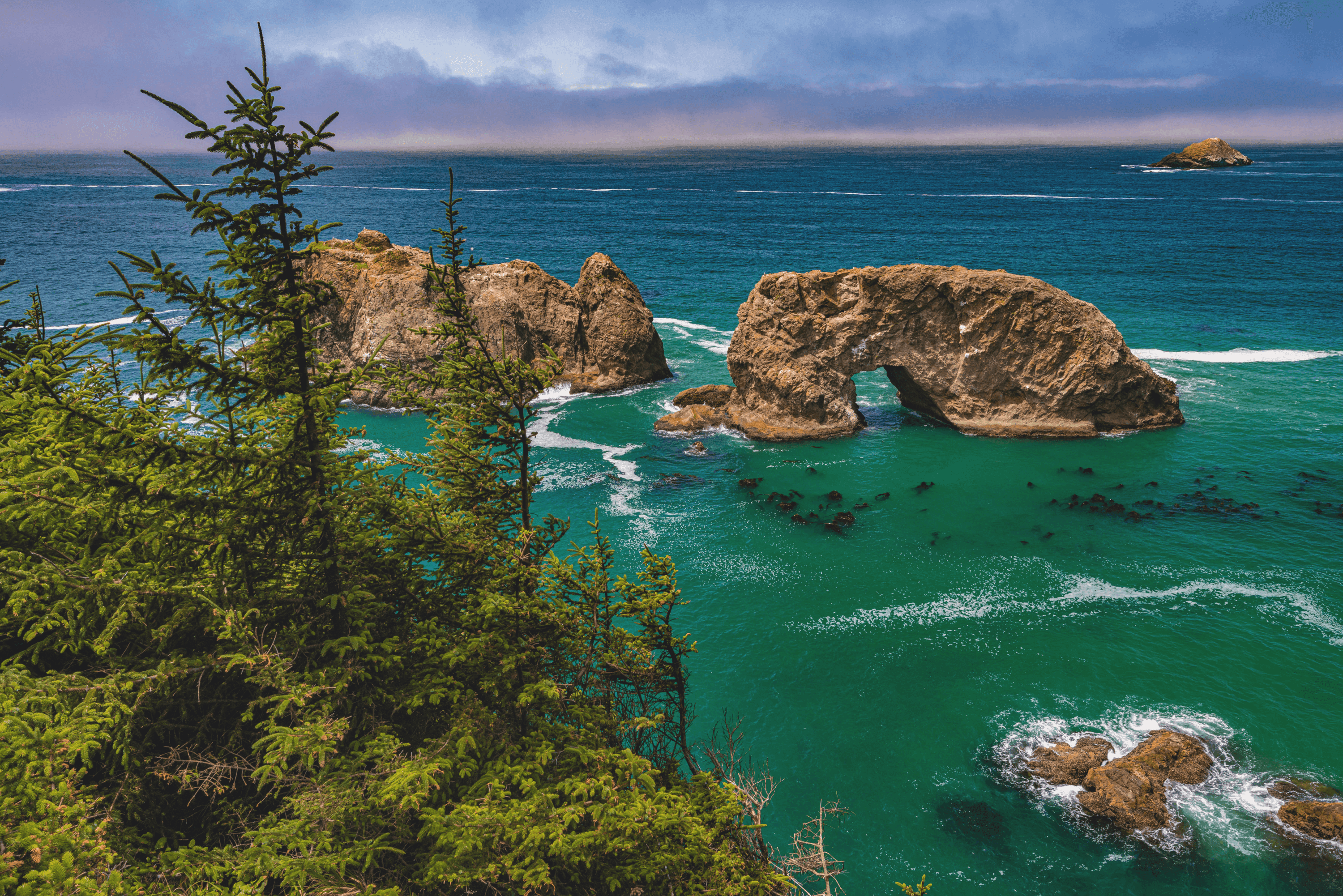 Aerial Adventures