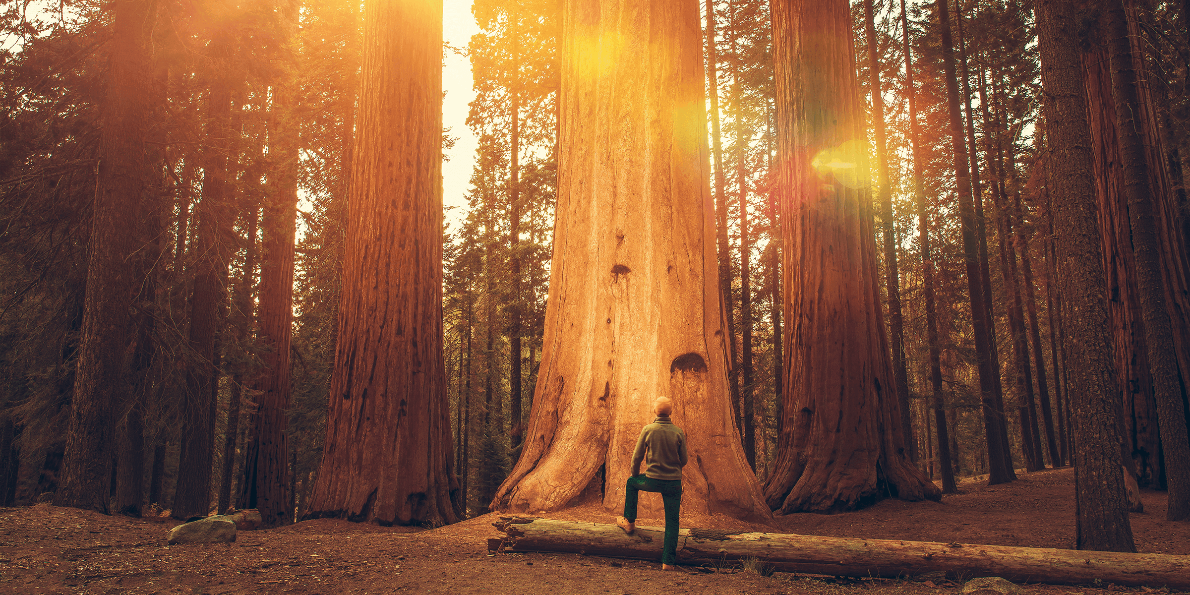 Land Adventures