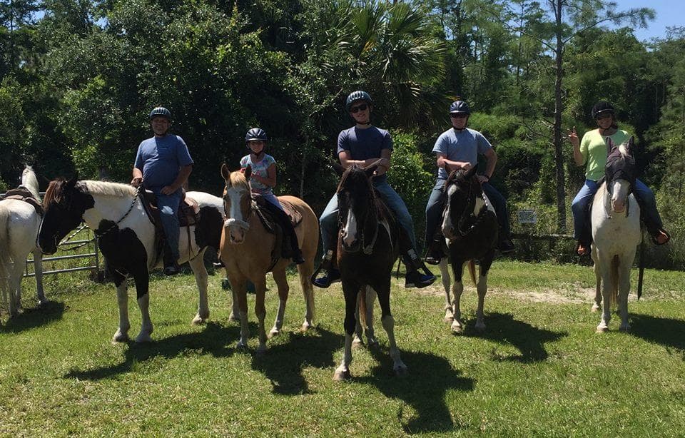 Family horseback ride on sunny grassy trail near trees