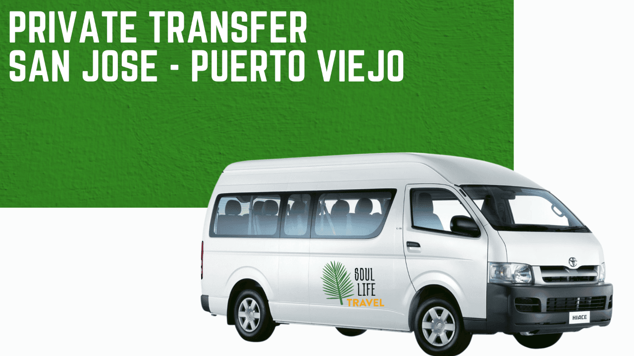 Private Transfer from San Jose to Puerto Viejo — Door-to-Door Airbnb Pickup