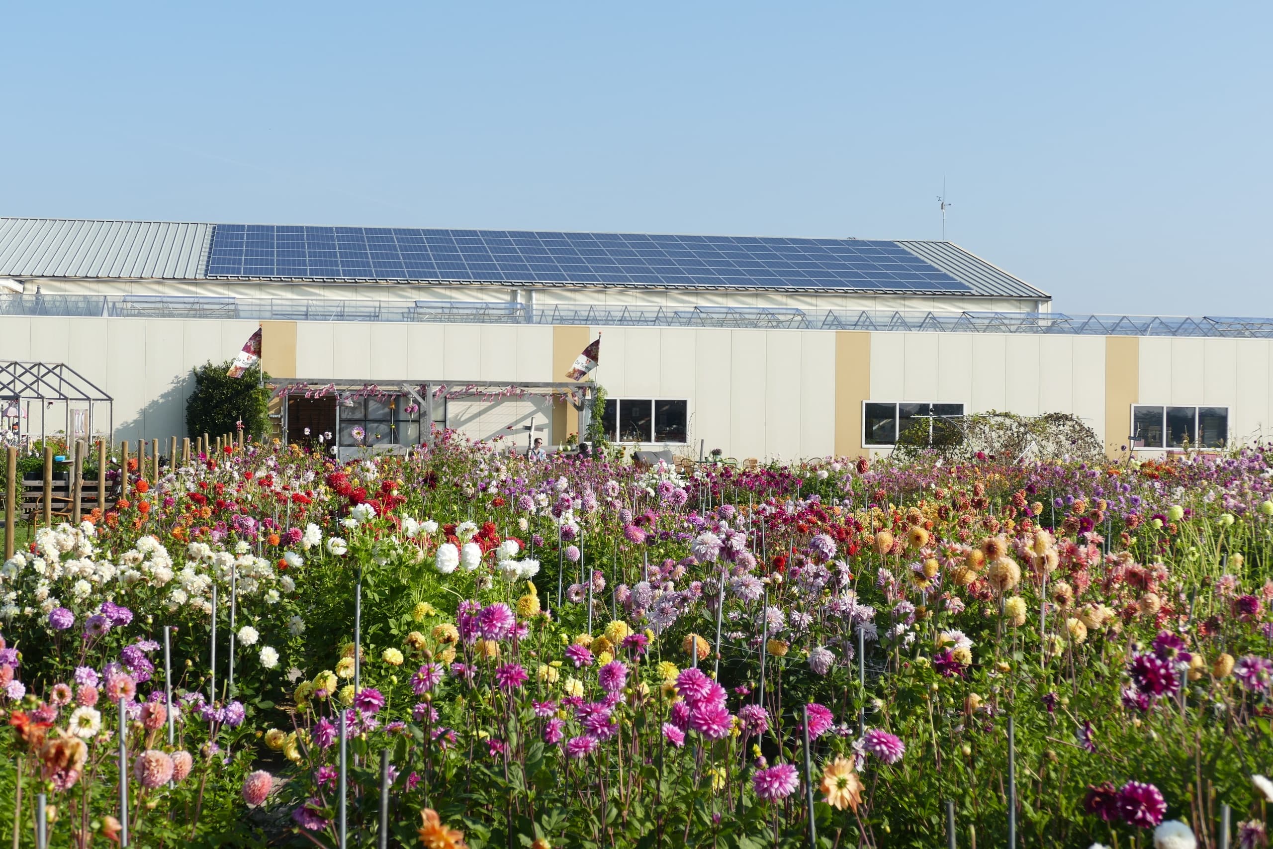 Wildflower & Garden Tour at De Tulperij