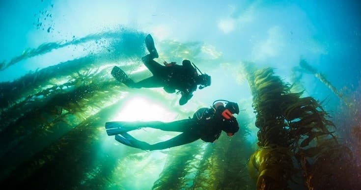 Scuba Refresher Class in Monterey, California