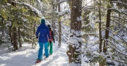 Winter Hiking Adventure with Deep Roots Adventure