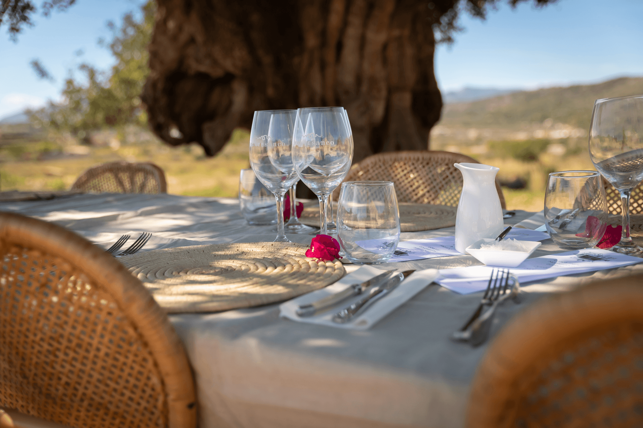 Outdoor table set for al fresco dining under a large tree