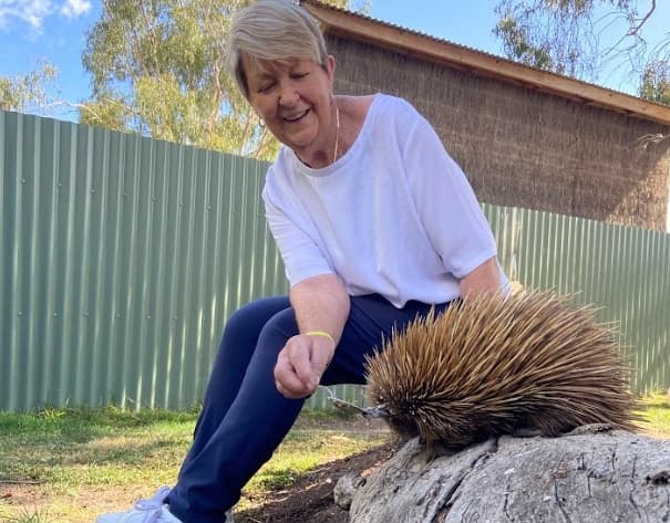 Wildlife & Animal Interactions at Echidna Experience