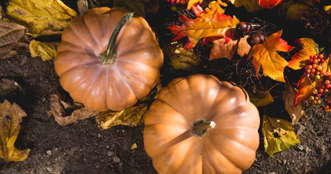 Thanksgiving Dinner Cruise in Pittsburgh, PA