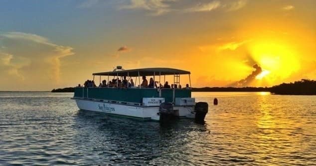 Celebrate Christmas Eve with a Sunset Dolphin & Wildlife Cruise in Sanibel
