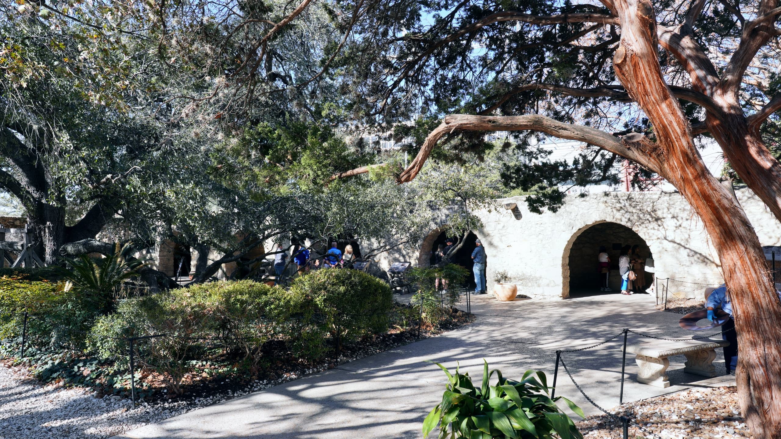 One-Hour San Antonio Cultural & Heritage Tour — River Walk, Missions & City Highlights photo 1