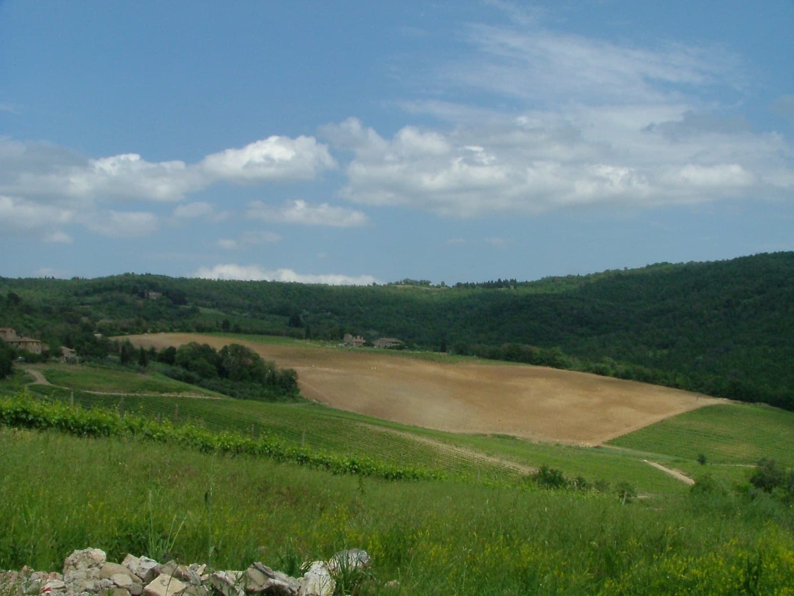 4 Day Bike Rentals with Florence By Bike in Tuscany