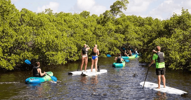 Kayak & Paddleboard Rentals at All Water Excursions in Naples