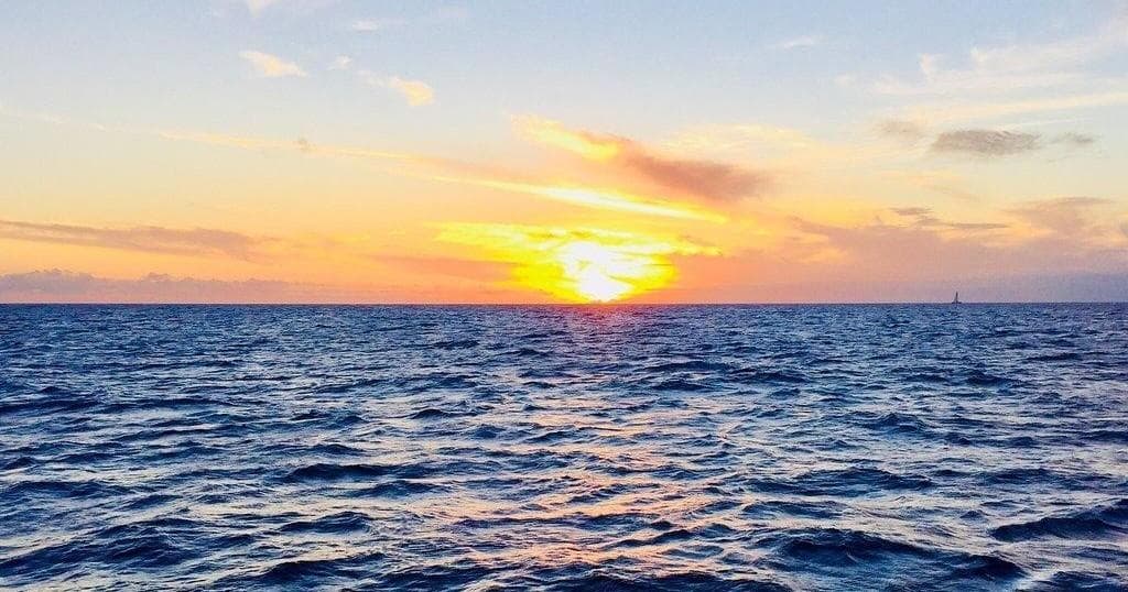 Sunset Cocktail Cruise in Honolulu, Hawaii
