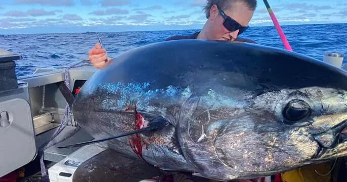 Winter Game Fishing: 2-Day Southern Bluefin Tuna Expedition from Greymouth photo 1