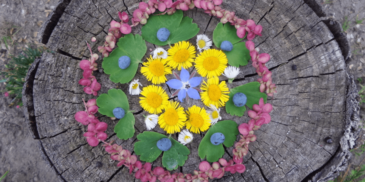 Land-Adventures at Nature's Palette Workshop for Creative Minds