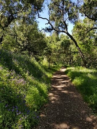 Big Sur Guided Tours: Carmel Valley Hiking Adventures
