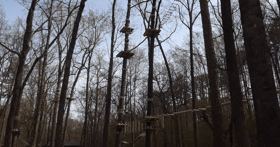 Carolina Treetop Challenge fleet