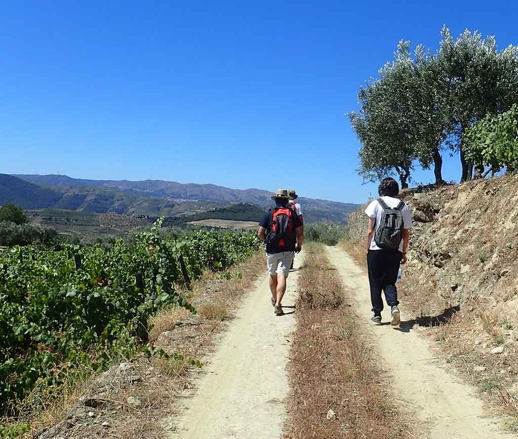 Land Adventures with Naturimont in Pinhão Wine Village