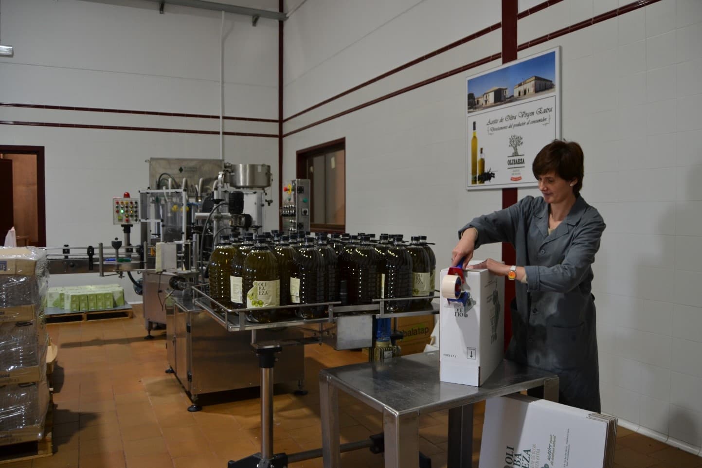 Olive Oil Tasting & Guided Tour by Turistour in Baeza