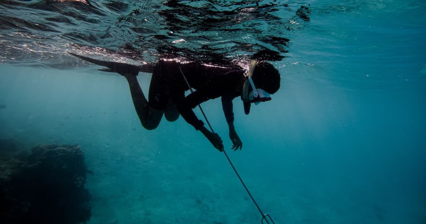 Freediver spearfishing underwater over coral reef in Florida Keys