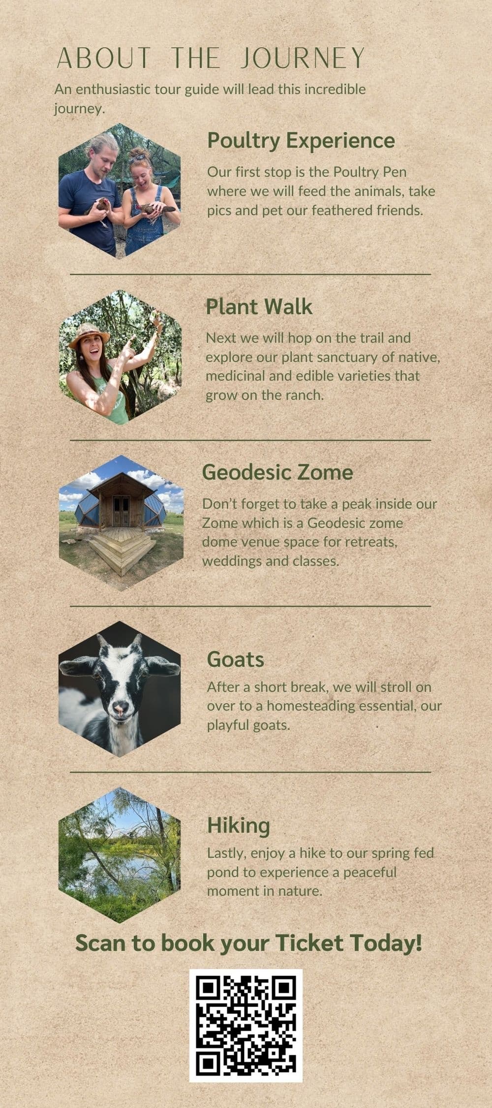 Wildlife & Cultural Tour at Homestead Celebration