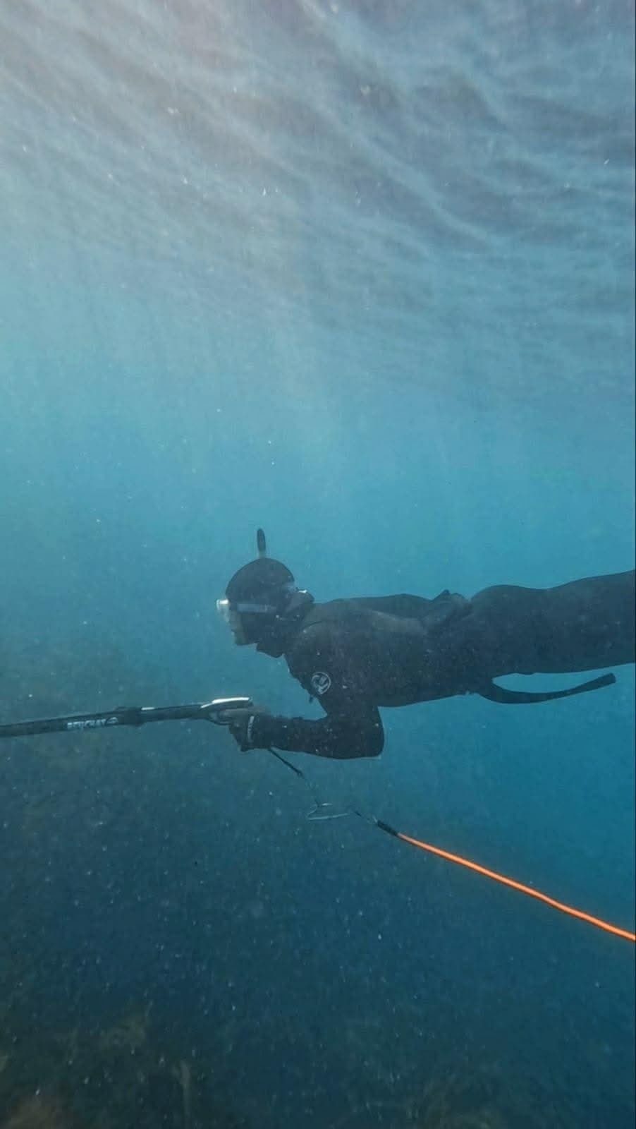 Kaikōura Kai Moana: Full-Day Shore Spearfish and Crayfish SCUBA