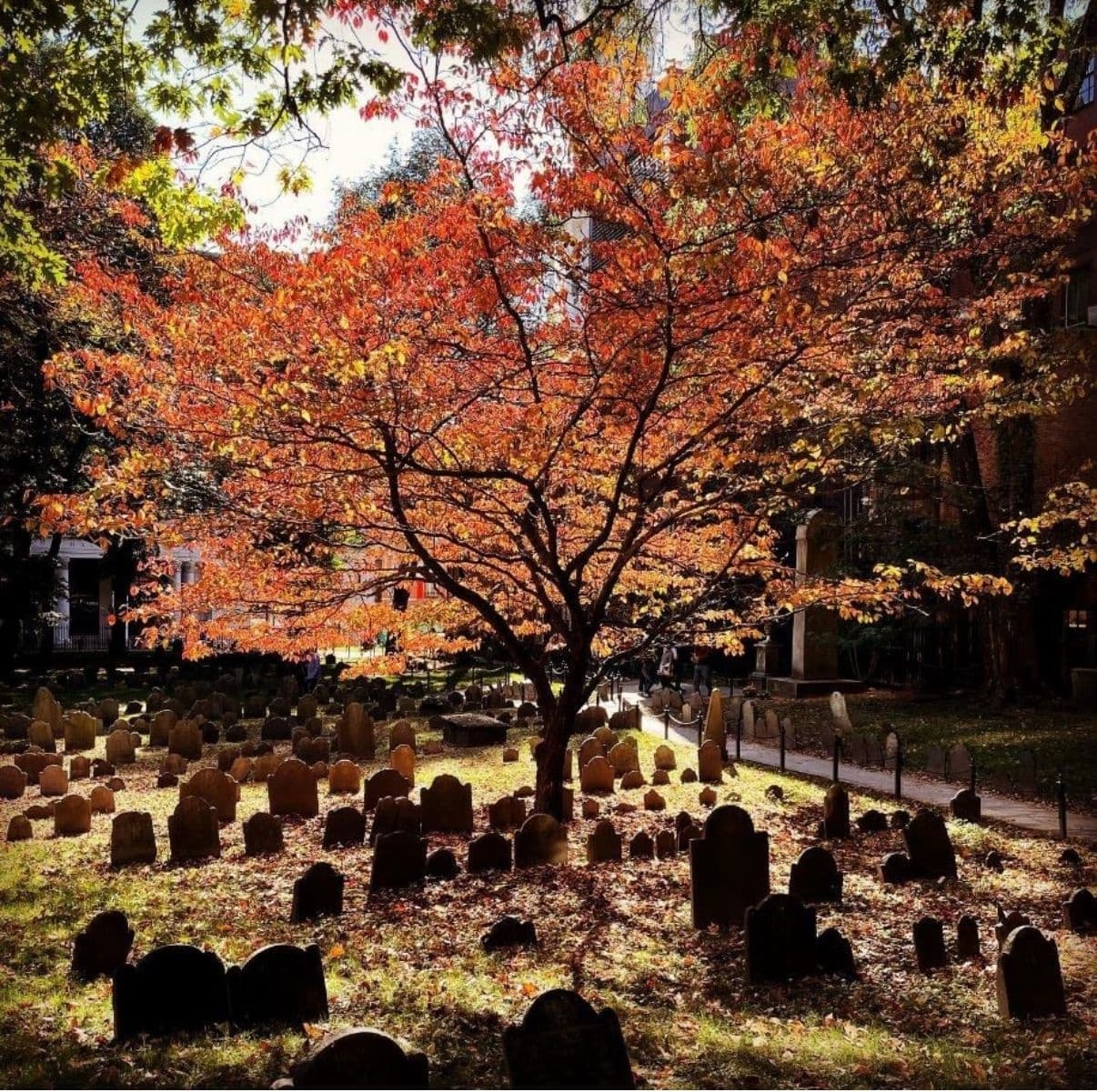 Urban History & Culture Tour at Hidden Boston