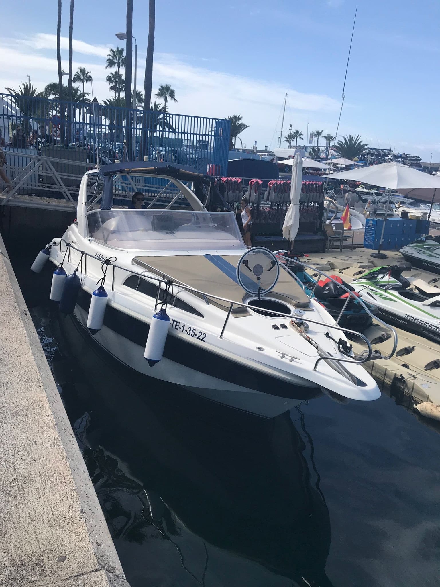Private Libby Cruise from Puerto Colón: 3-Hour Costa Adeje Boat Charter