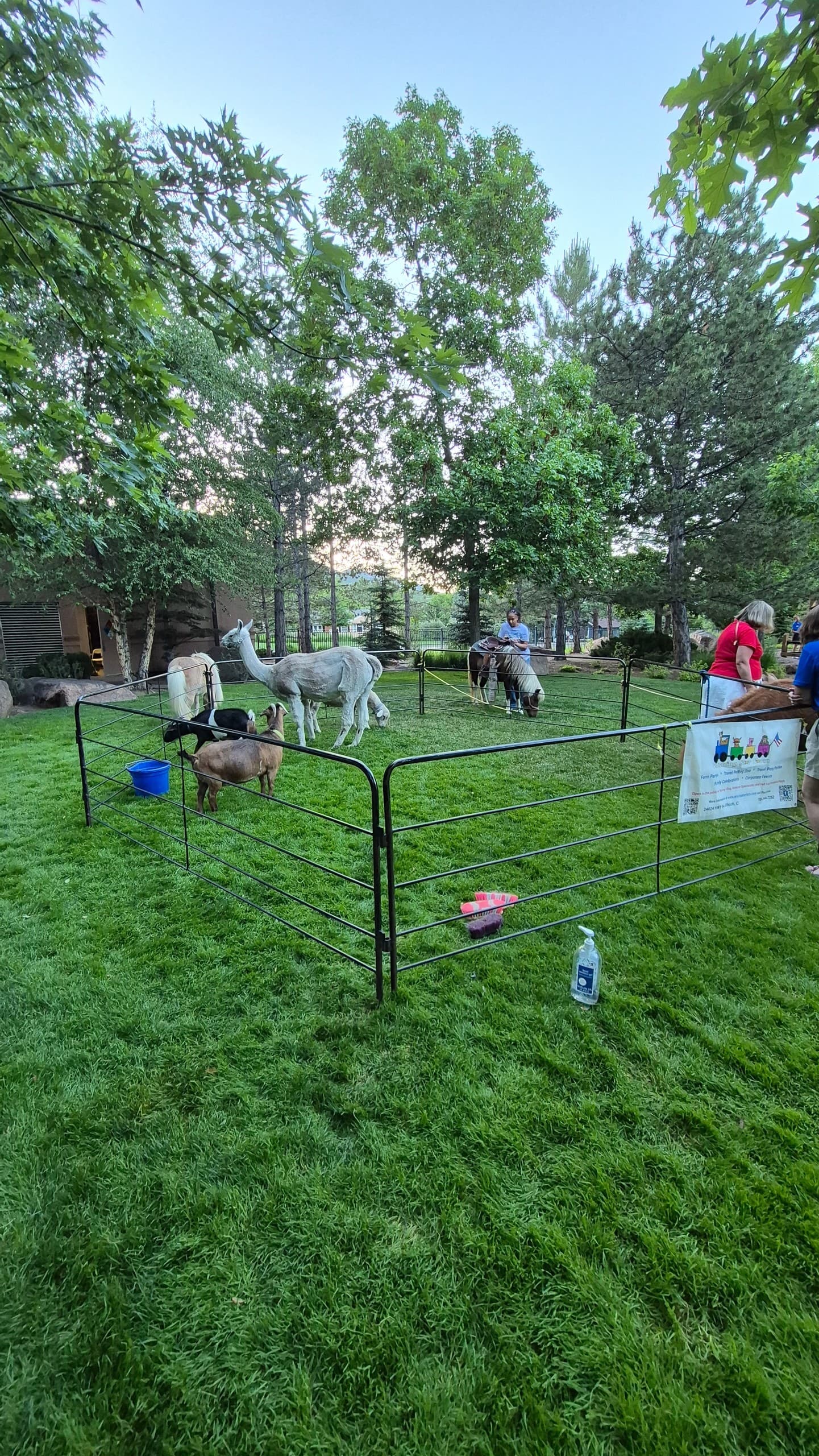 Family Fun Day - June 13th: Petting Zoo & Pony Rides in Colorado Springs
