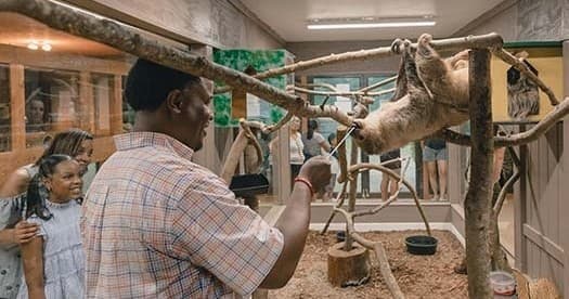 Wildlife & Conservation at Wild Animal Safari Pine Mountain