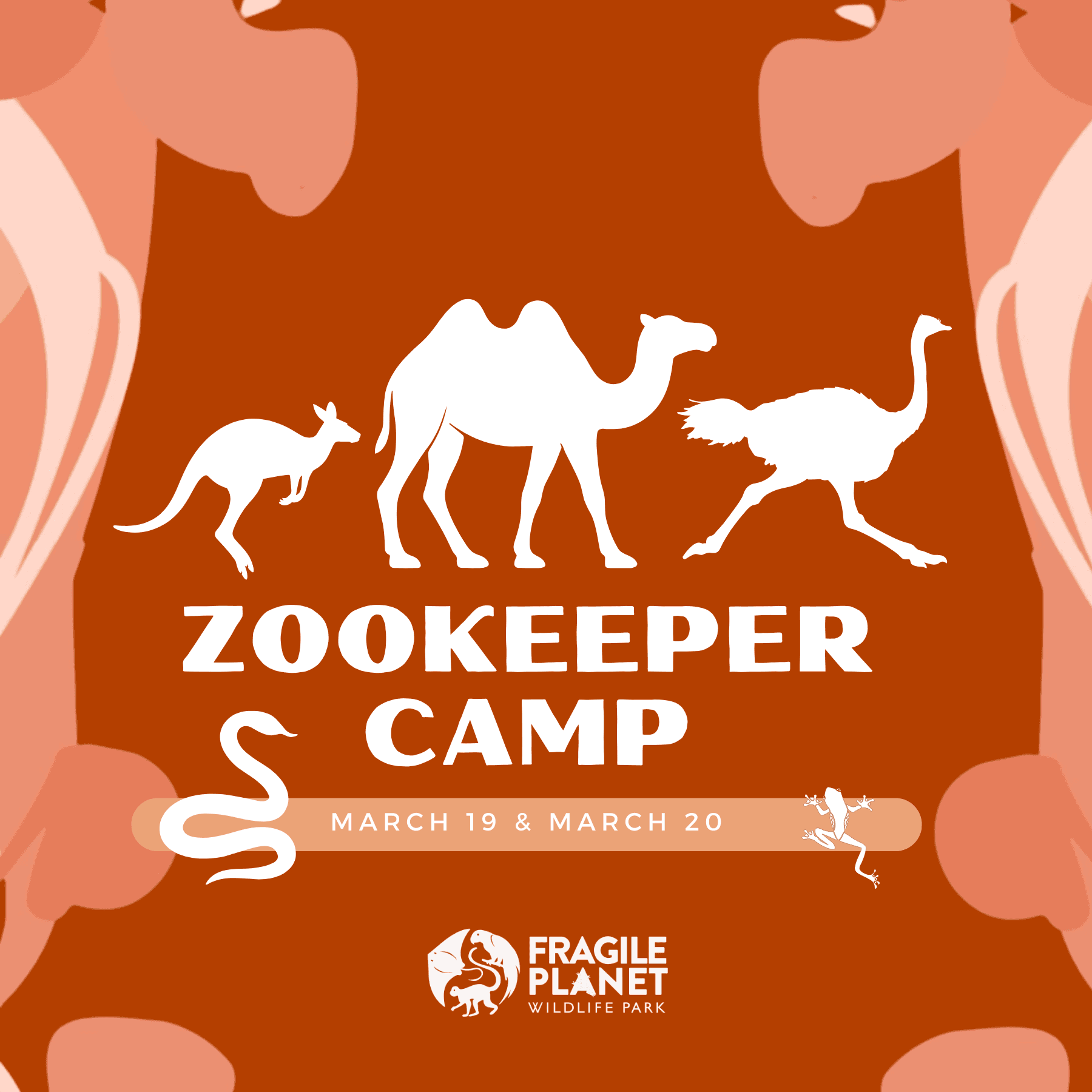 Zookeeper Camp: Hands-On Animal Encounters & Safari Tours in Los Fresnos, TX