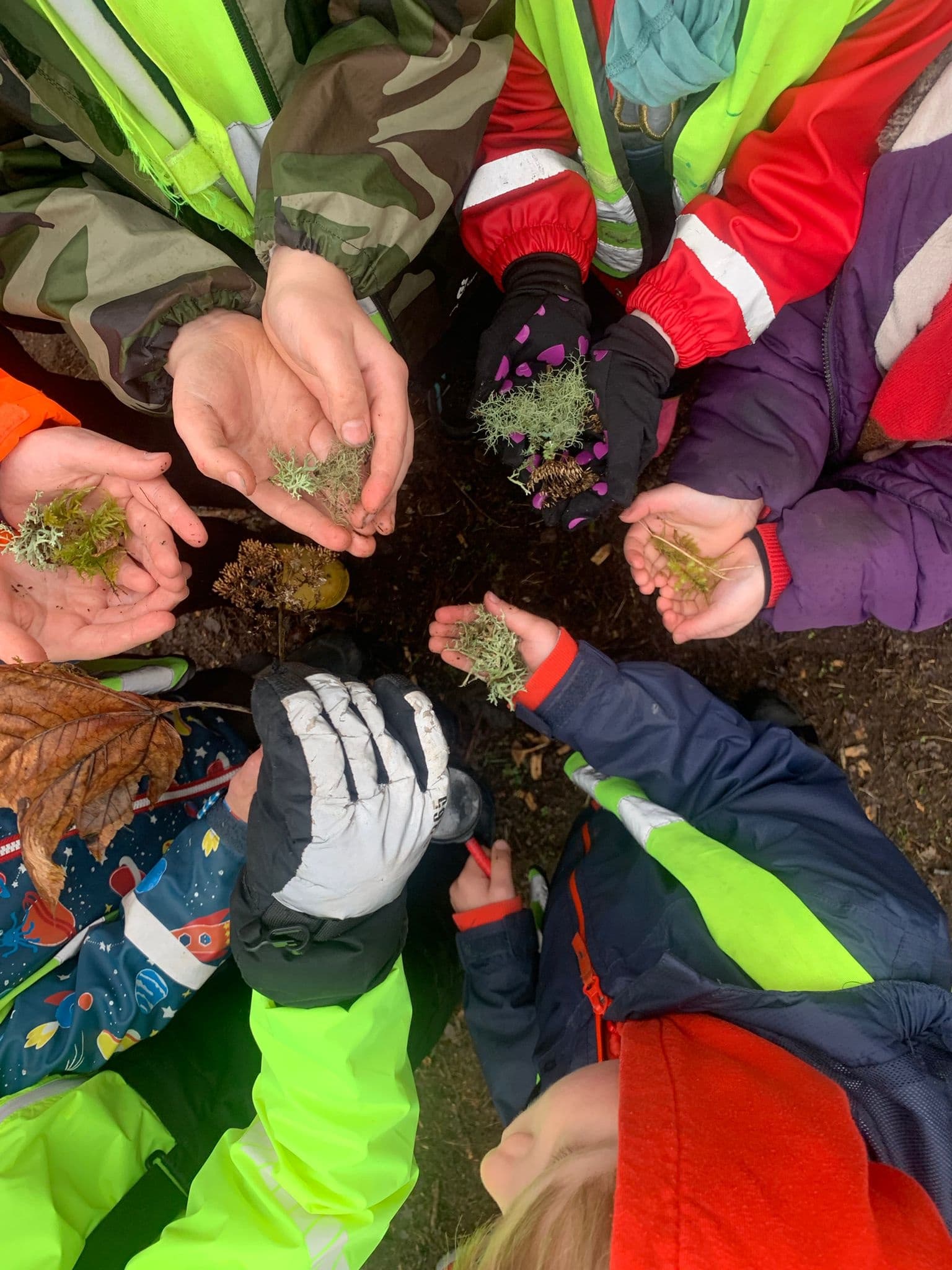 Land Adventures with Bushcraft Bairns in Forests