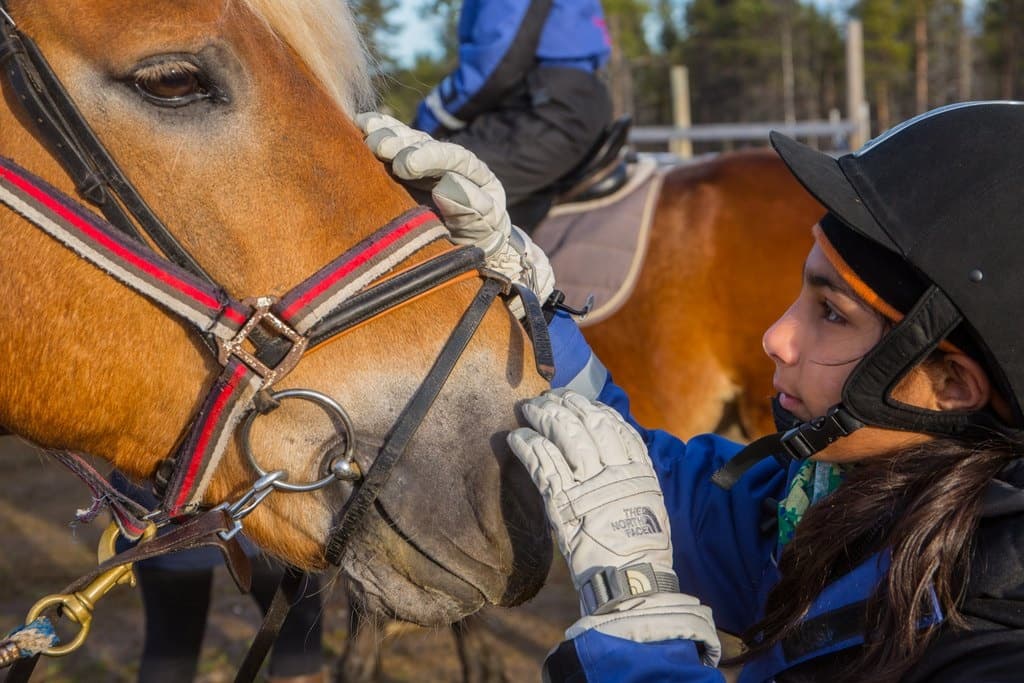 Land Adventures: Horseback Riding in Lappish Forest with Kakslauttanen
