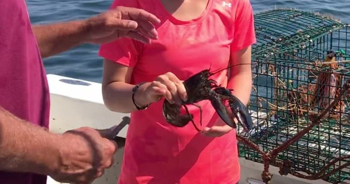 Private Maine Lobstering & Scenic Cruise in Saco