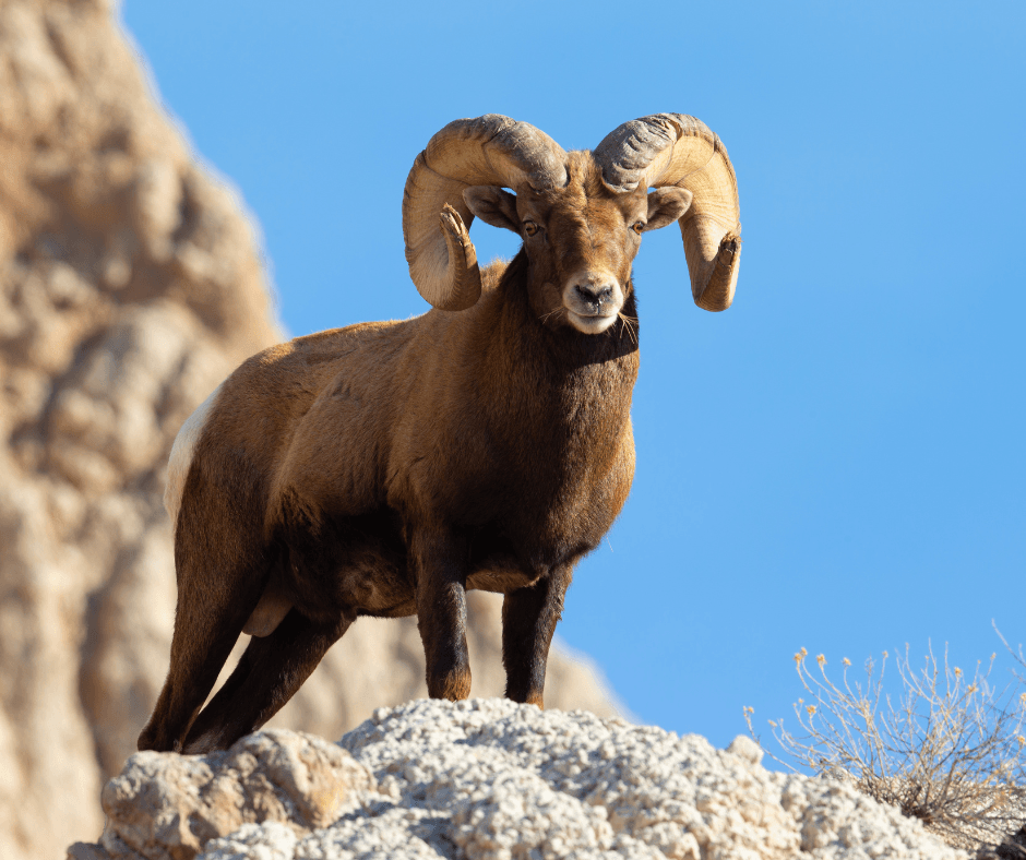 Private Rocky Mountain National Park Tour in Estes Park
