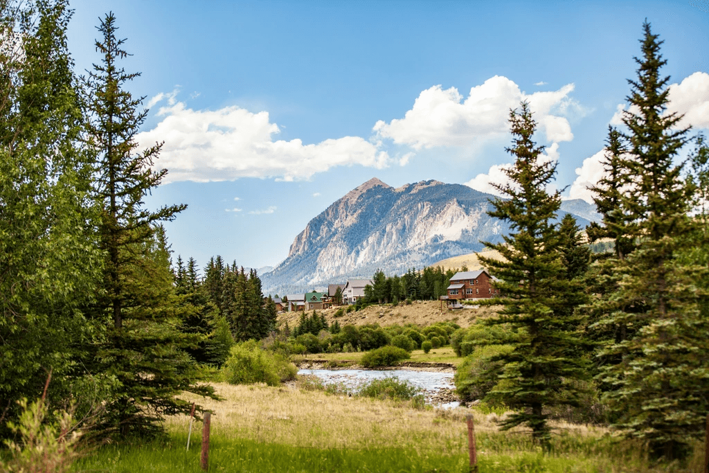 Lush alpine meadow with pine trees and distant mountain peaks