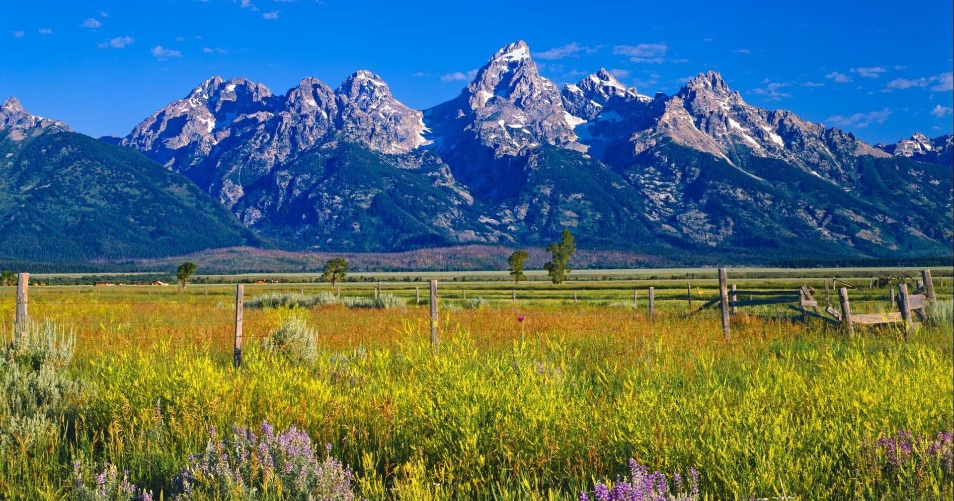 Jackson Hole Backcountry Rentals team