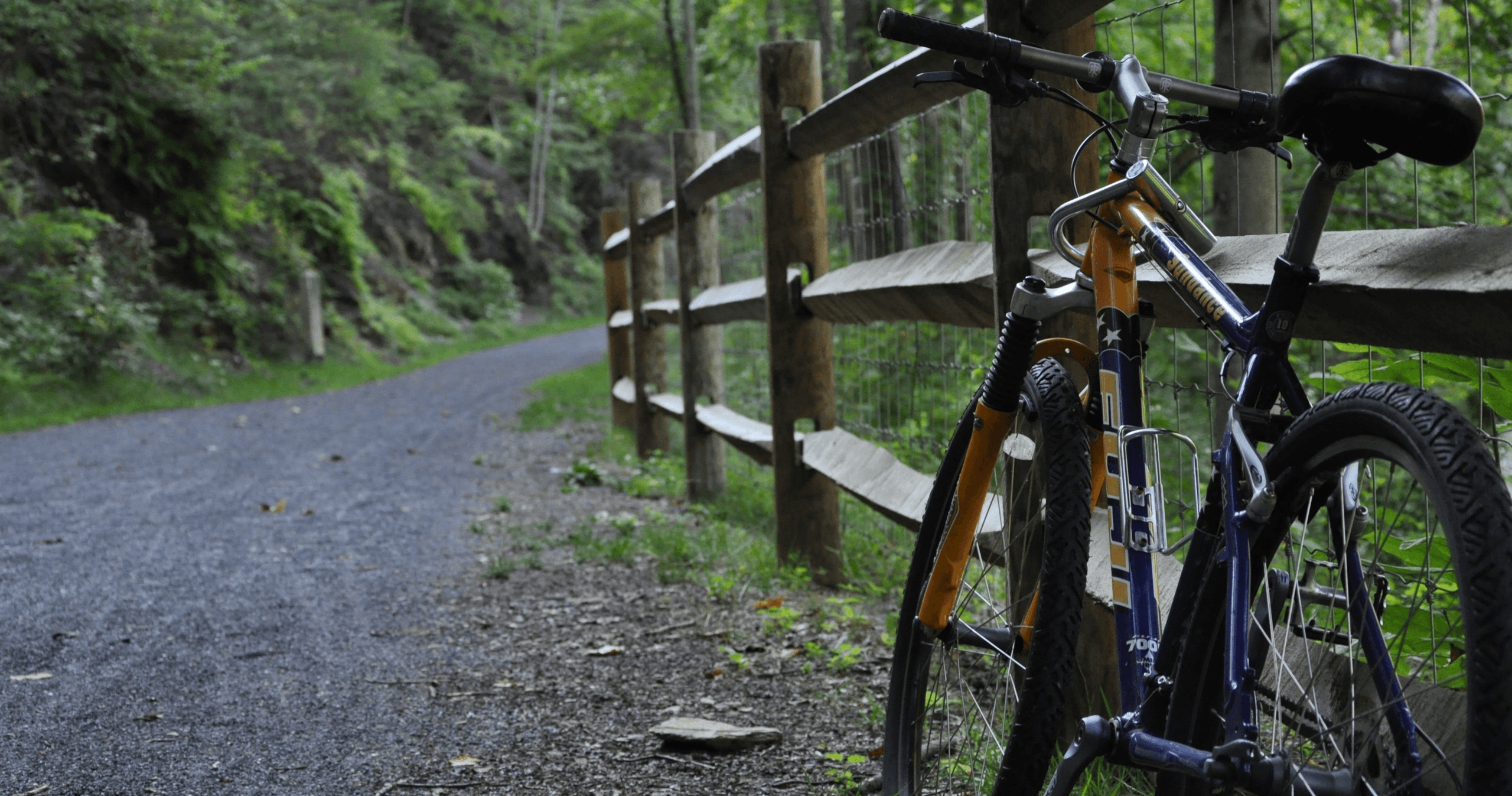 Explore Alleghany Outdoors: Self-Guided Bike Rentals in Covington Virginia
