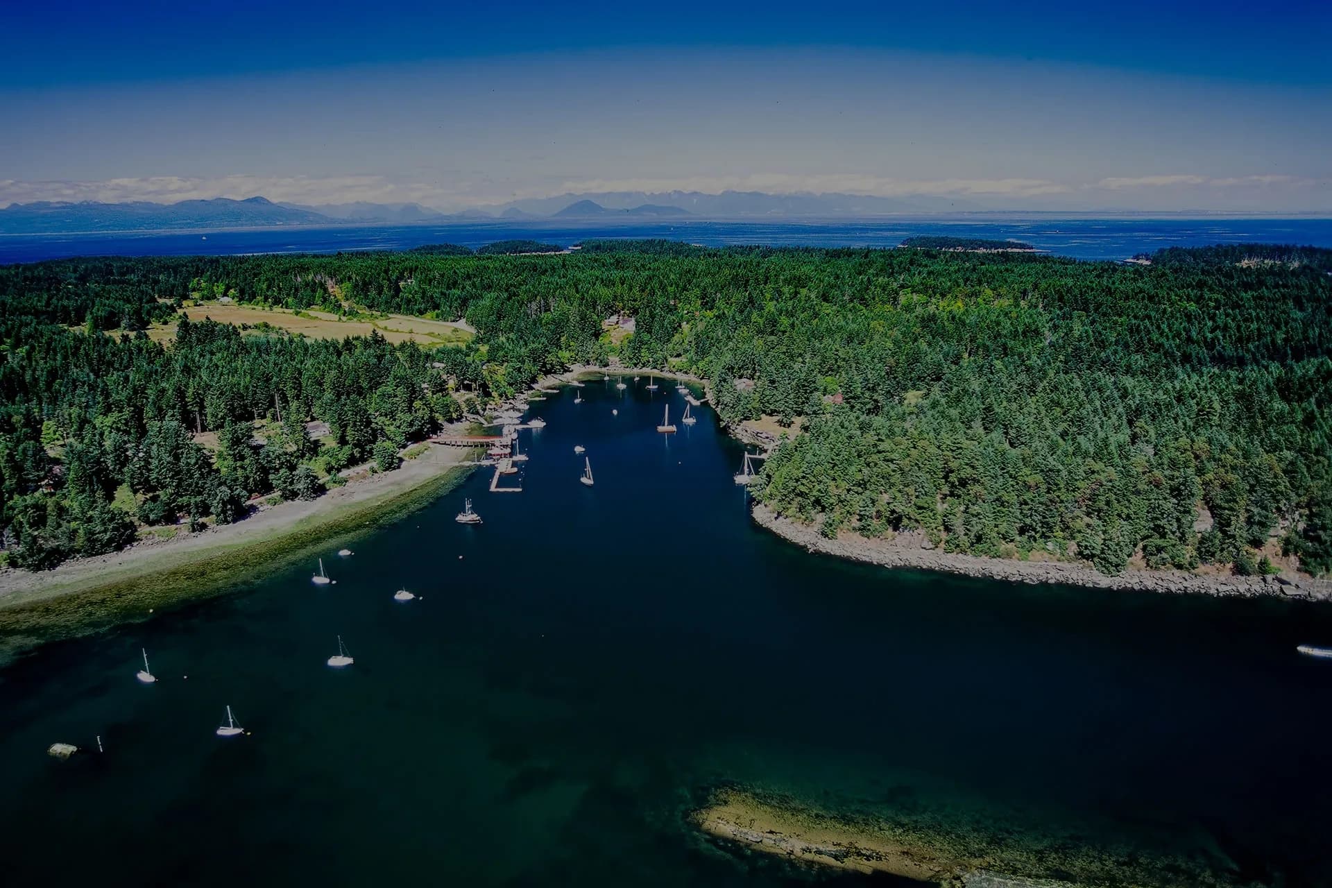Aerial view of forested inlet with anchored boats and shoreline