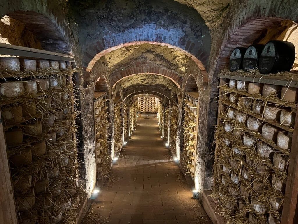 Taste Tuscany: Private Pasta, Cheese & Olive Oil Tour from Lari