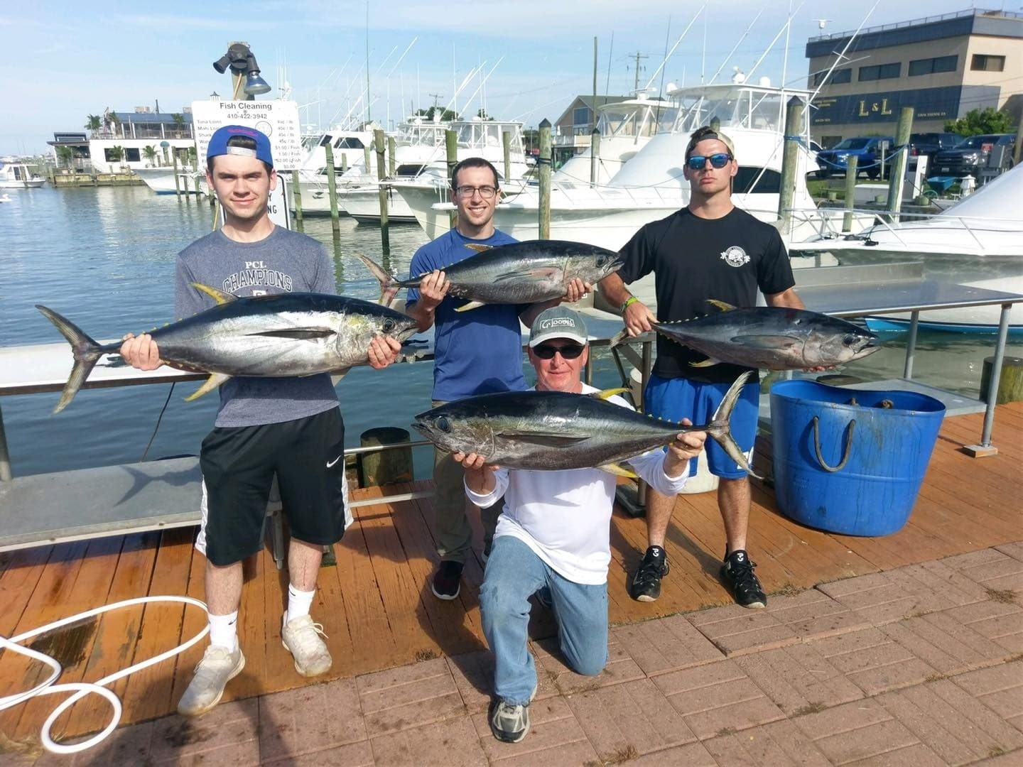Offshore Shark Trolling with Captain George: 6-Hour Ocean City Thrill