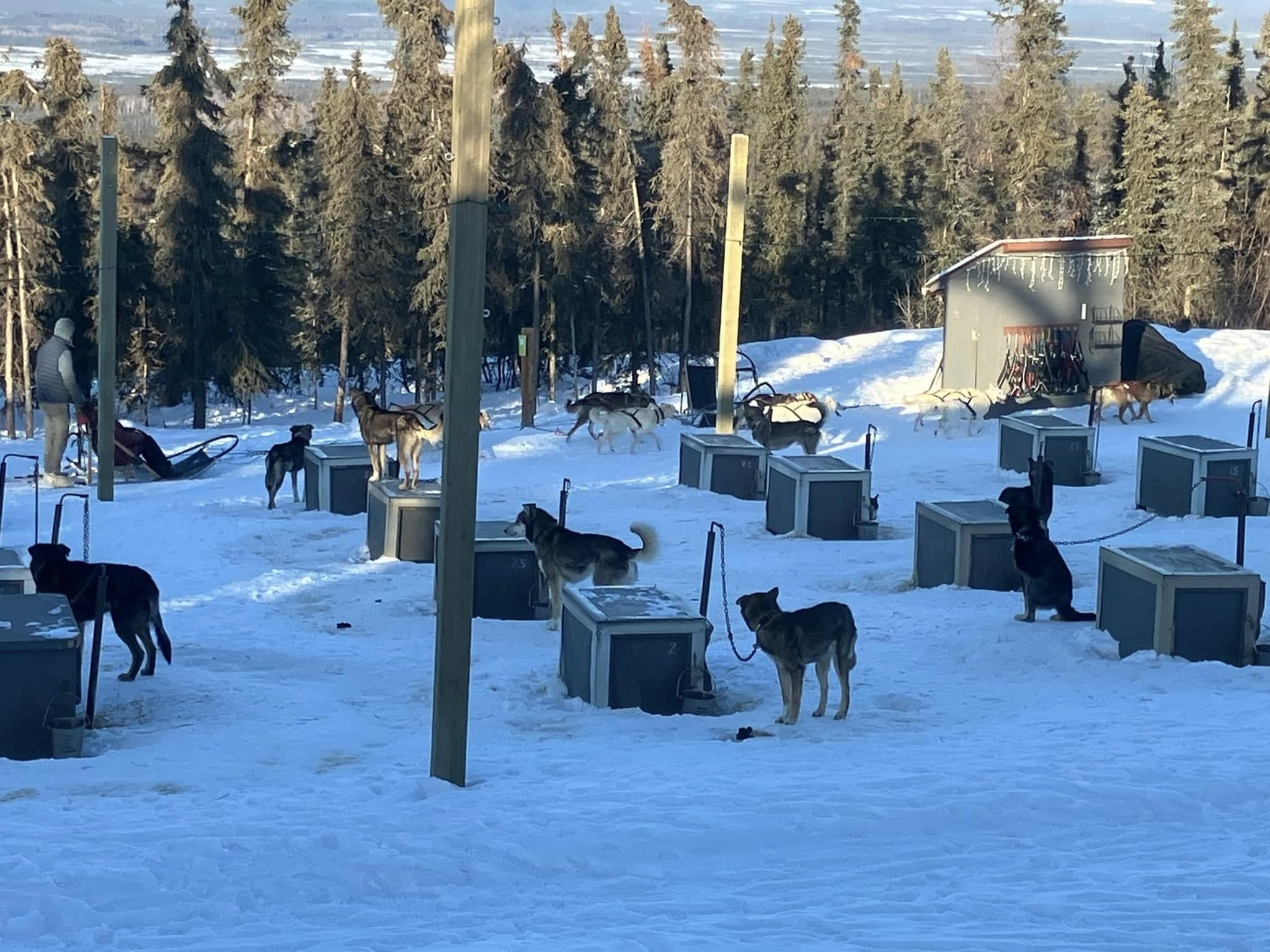 PolarGleam Transfers: Door-to-Door Rides for Dog Sled & Snowmobile Tours in Fairbanks