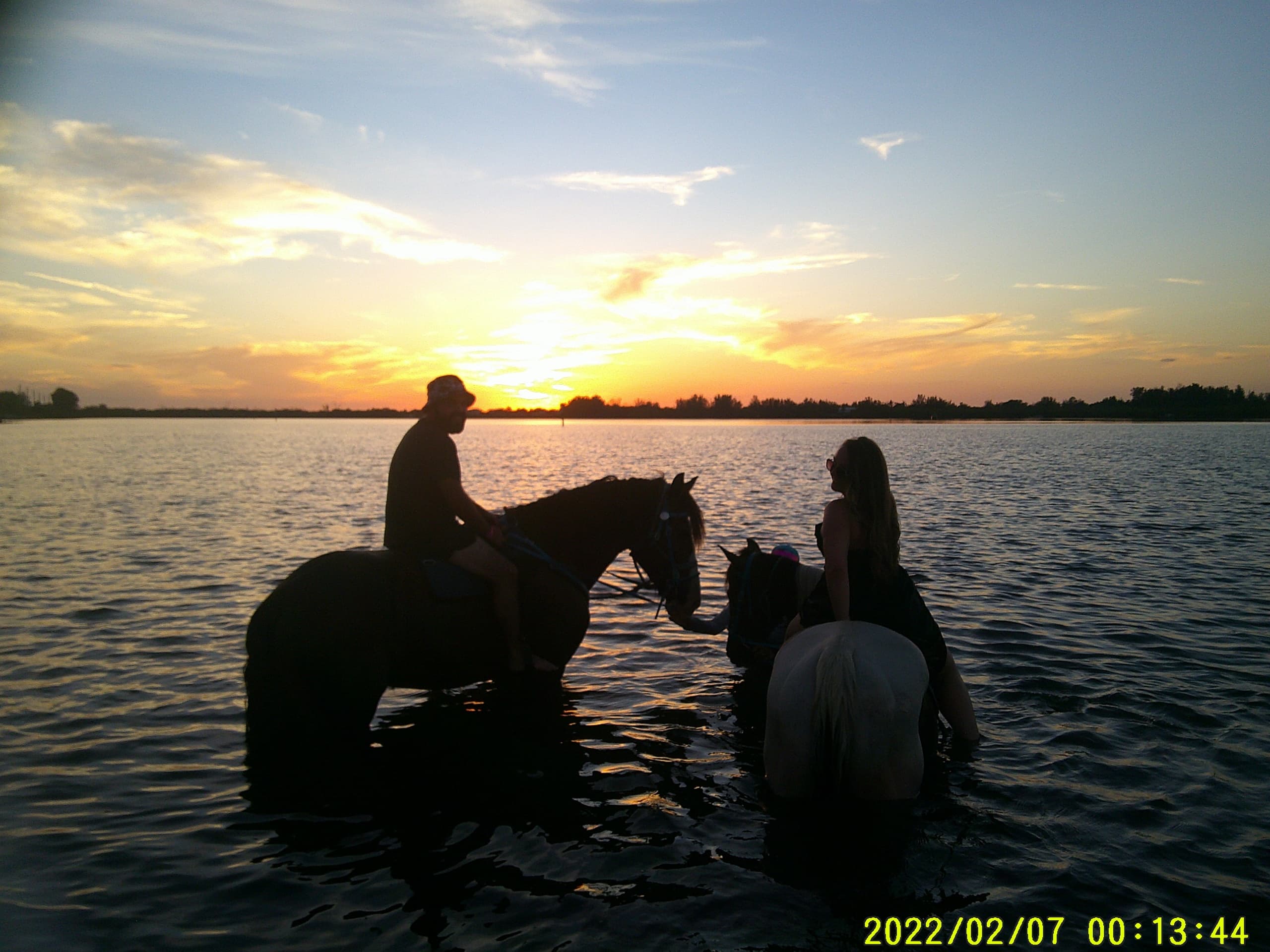 Sunset Horseback Ride in Bradenton, Florida
