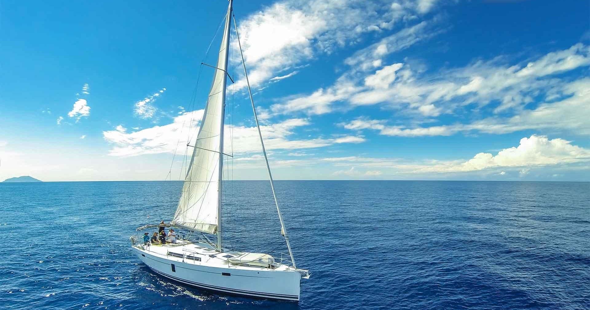 Eco Catamaran Whale and Dolphin Watching Adventure in Tenerife