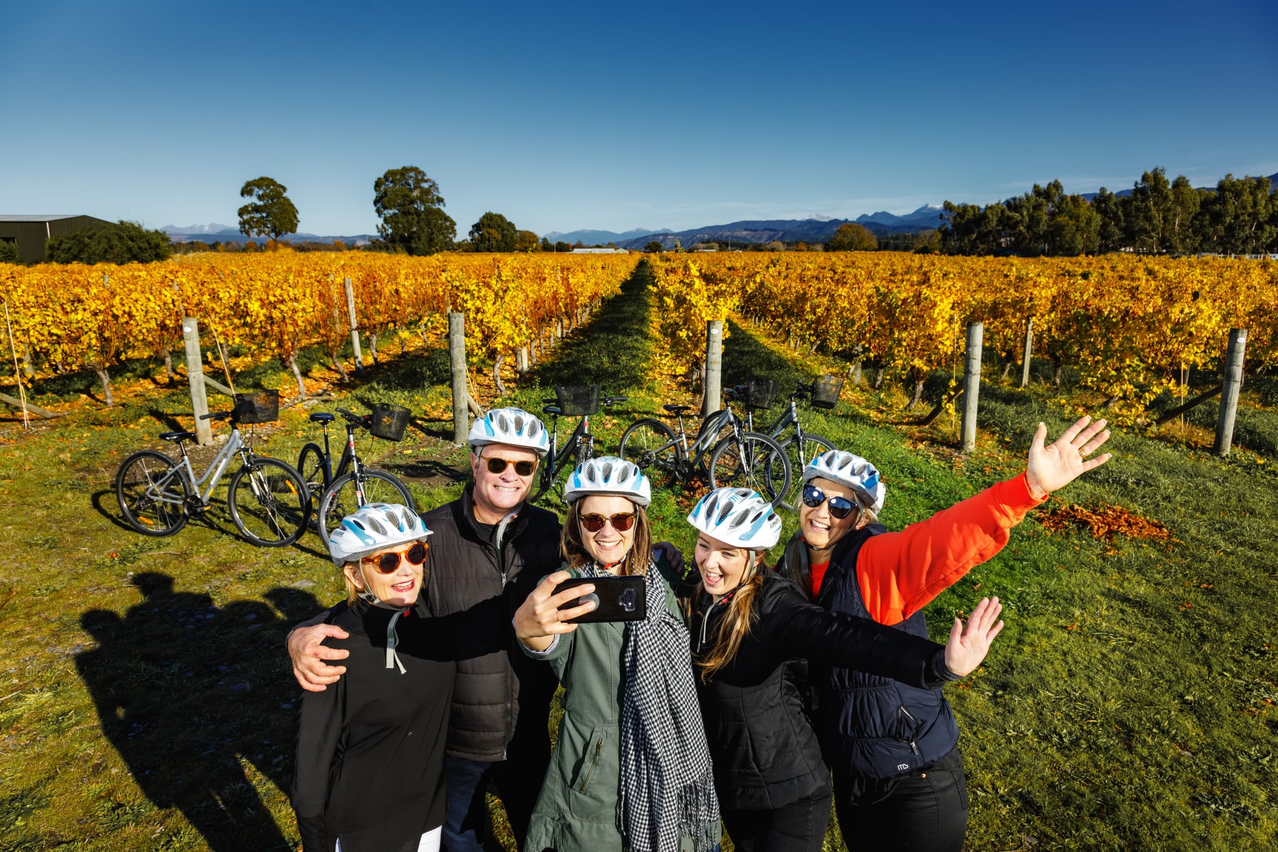 Explore Marlborough’s Vineyards on an Unguided Full Day Biking Wine Tour
