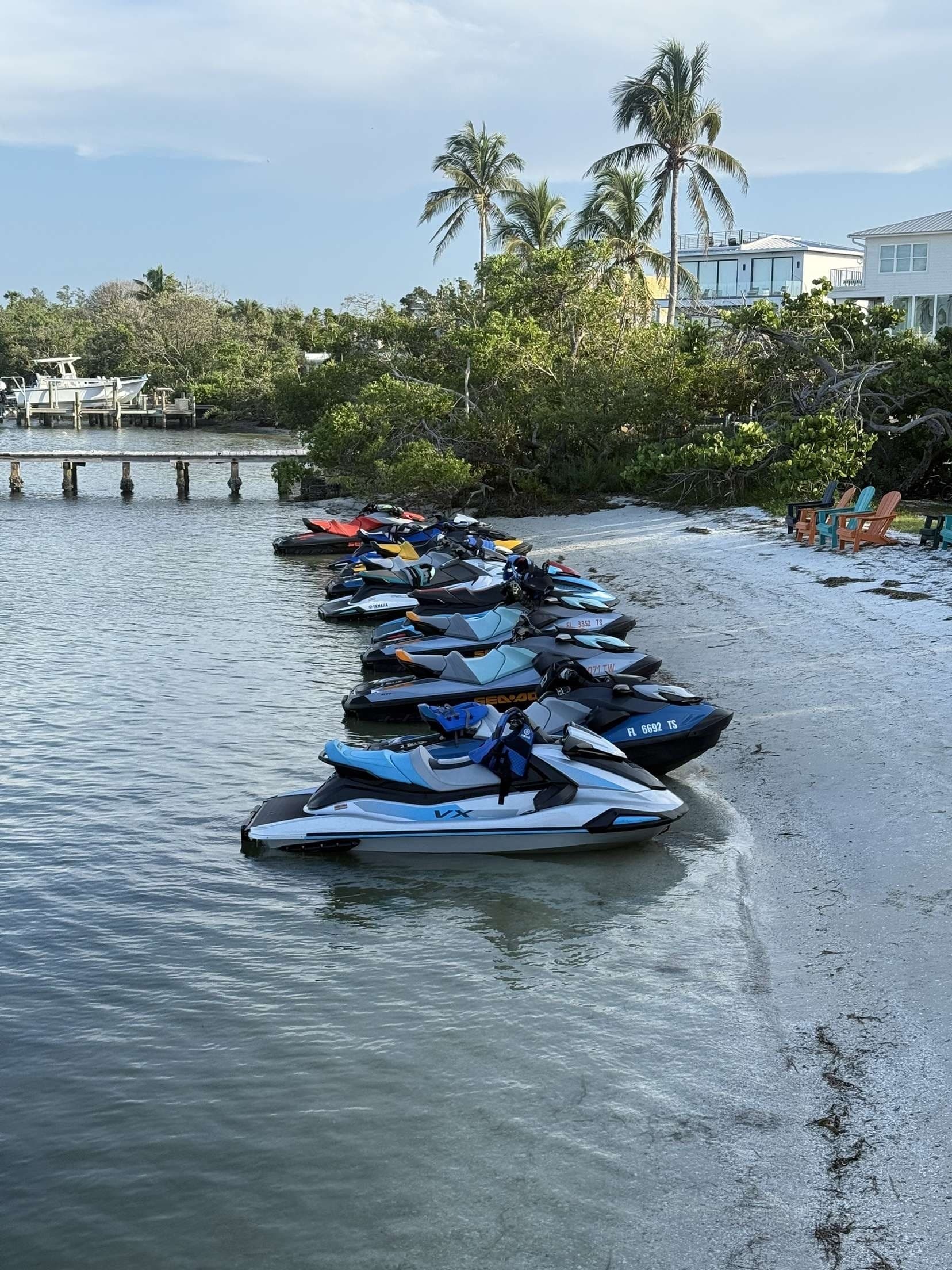 Four-Hour Wildlife Cruise to Passage Key, Beer Can & Jewfish Islands