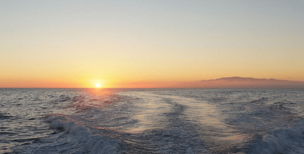 Sunset Whale Watching Cruise by Tonina Cruises in Las Galletas