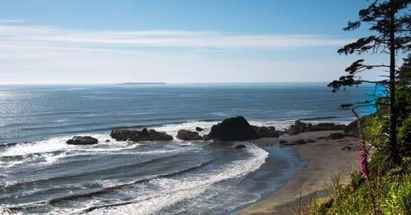 Hiking & Nature Tour at Olympic National Park