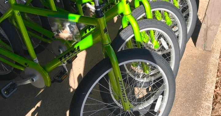 6 Hour 5 Speed Cruiser Bike Rental