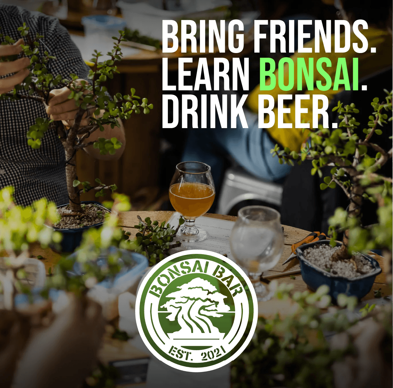 Bonsai Bar at Municipal Winemakers: Hands-On Tiny Tree Workshop in Ventura