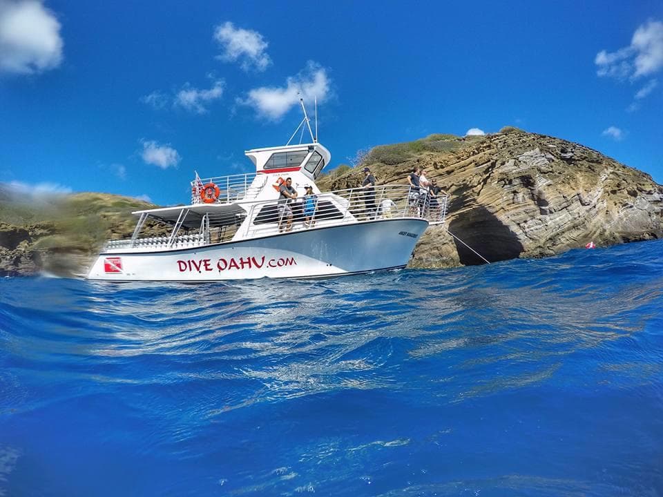 Private Charter Scuba & Snorkel in Honolulu, Hawaii