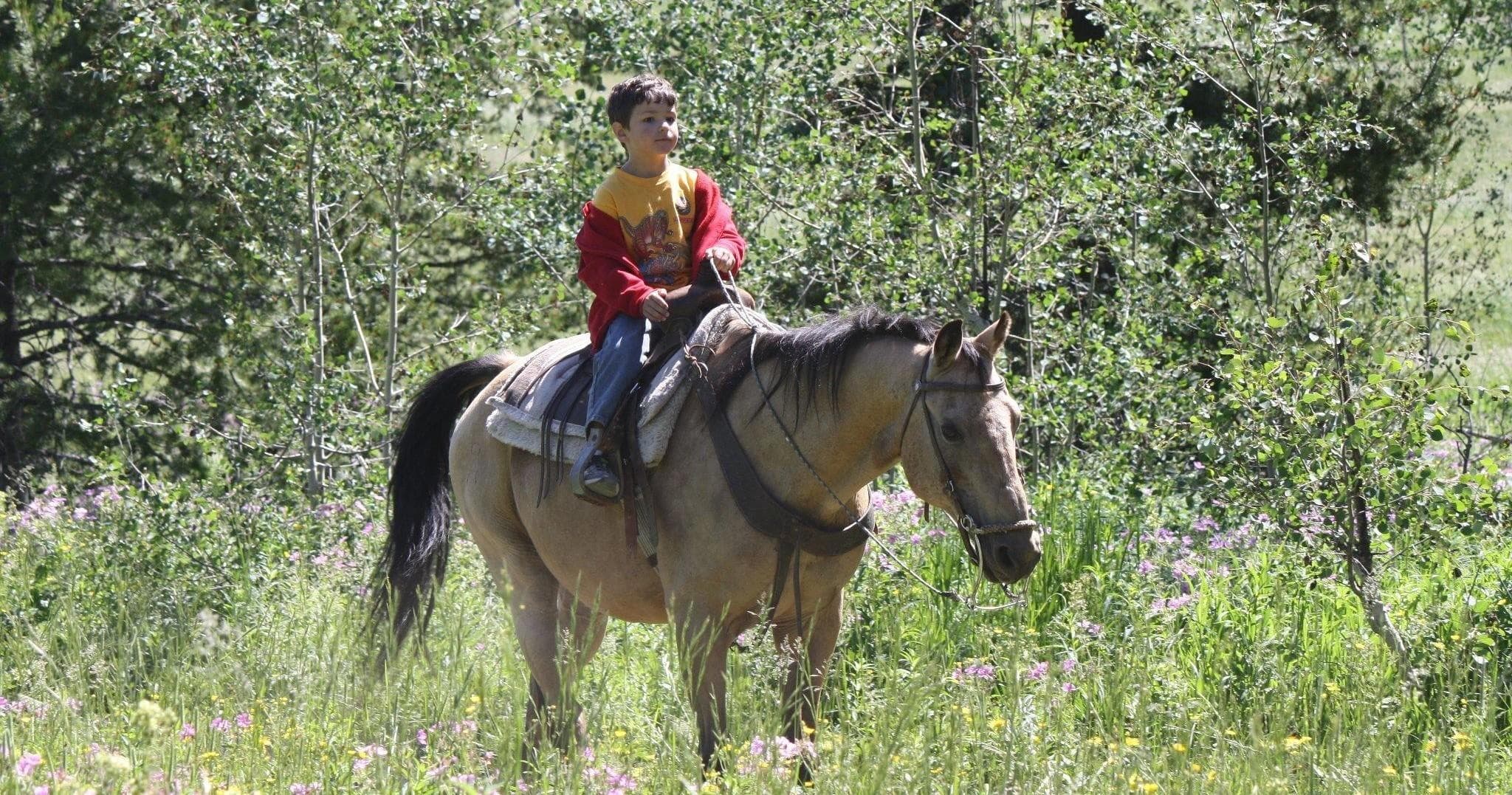 Land Adventure with Yellowstone Horses: Sunset Riding Experience